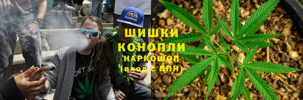 винт Абаза