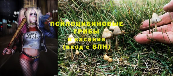 прущие крисы Абдулино