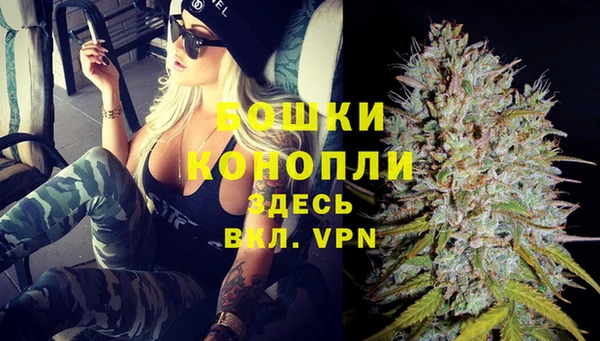 винт Абаза