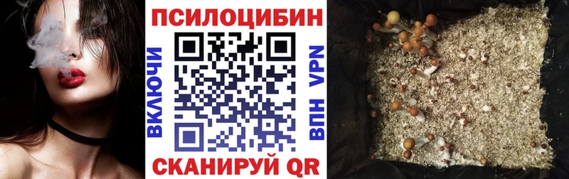 сколько стоит  Партизанск  kraken ССЫЛКА  Галлюциногенные грибы GOLDEN TEACHER 